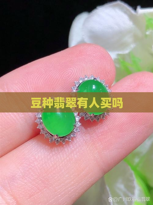 翡翠豆种有人买吗