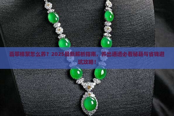 翡翠棉絮怎么养