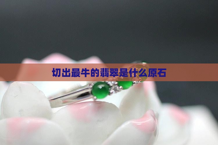 切出最牛的翡翠是什么