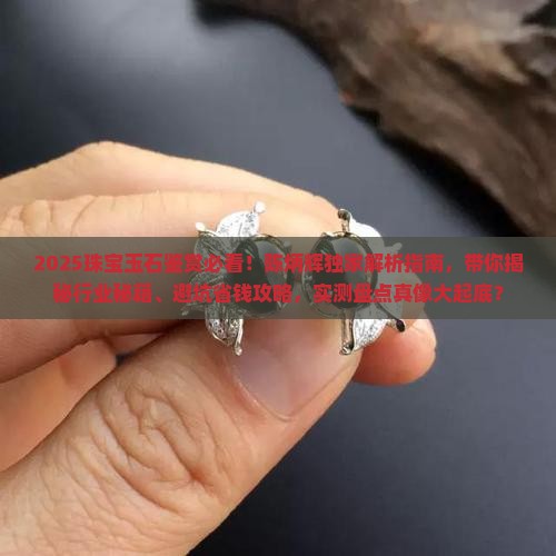 陈炳辉珠宝玉石鉴赏简明教程