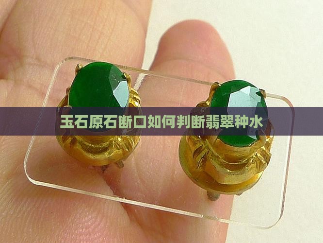 玉石原石断口看种水