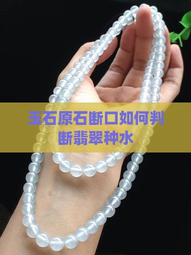 玉石原石断口看种水