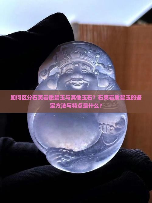 如何区分石英岩质碧玉与其他玉石？石英岩质碧玉的鉴定方法与特点是什么？