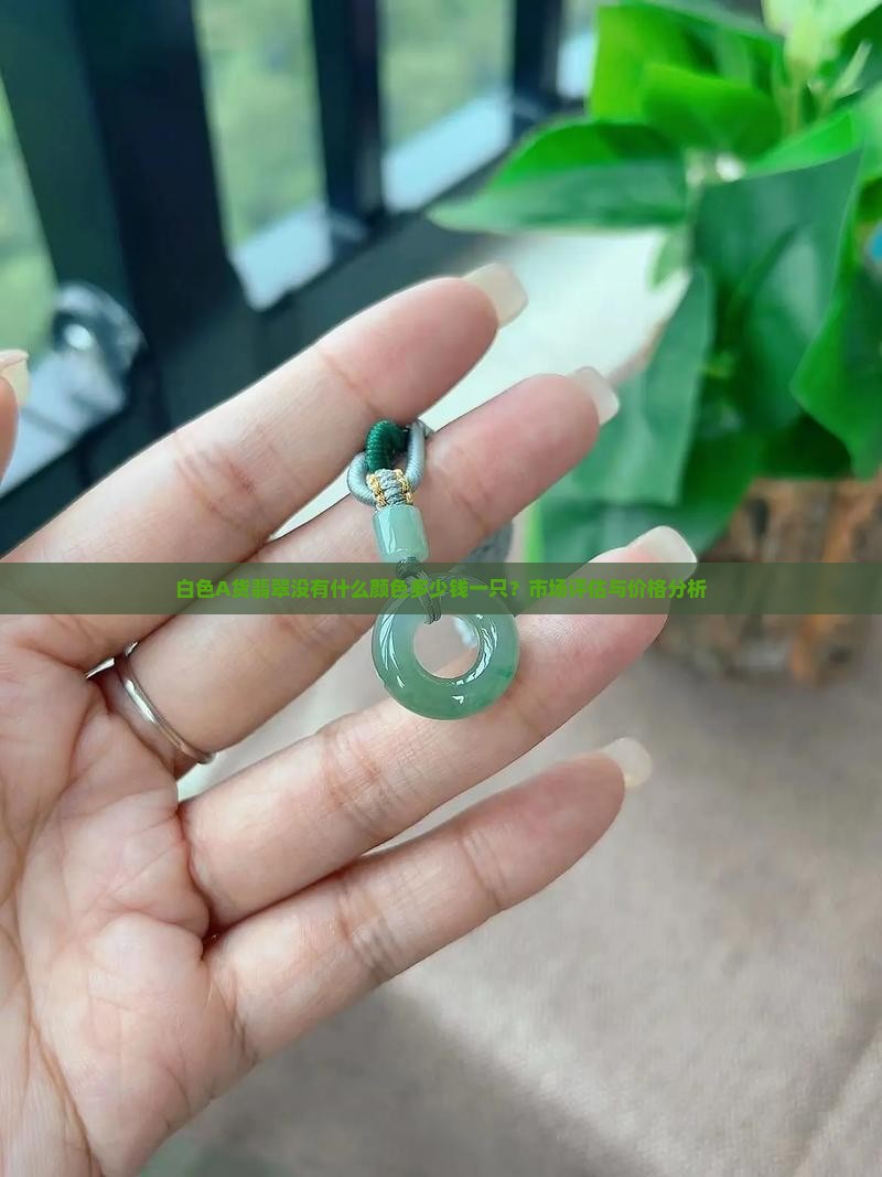 白色A货翡翠没有什么颜色多少钱一只？市场评估与价格分析