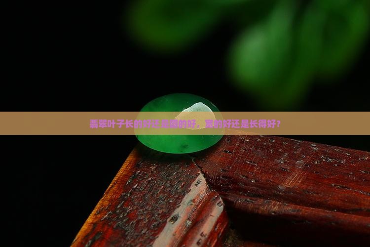 翡翠叶子长的好还是圆的好，宽的好还是长得好？