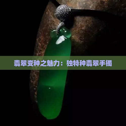 翡翠变种之魅力：独特种翡翠手镯