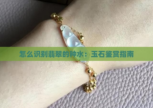 怎么识别翡翠的种水：玉石鉴赏指南