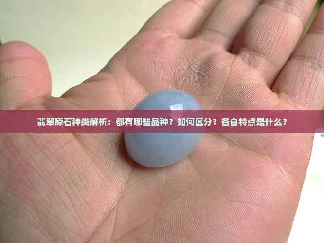 翡翠原石种类解析：都有哪些品种？如何区分？各自特点是什么？