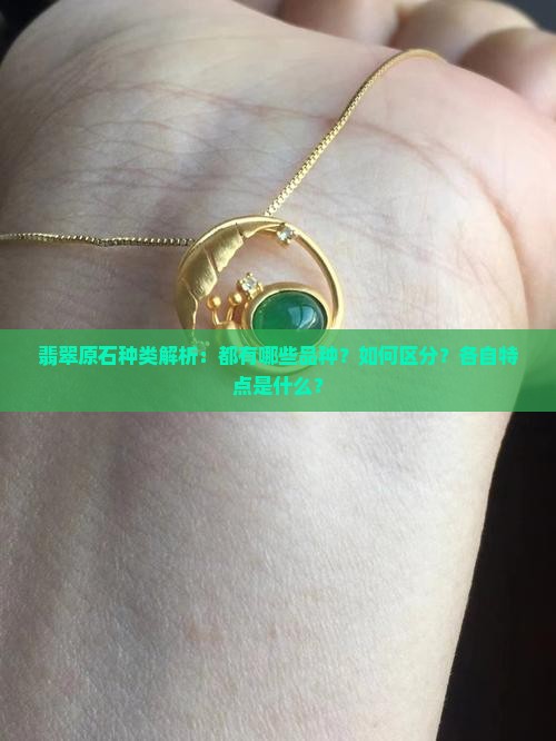 翡翠原石种类解析：都有哪些品种？如何区分？各自特点是什么？