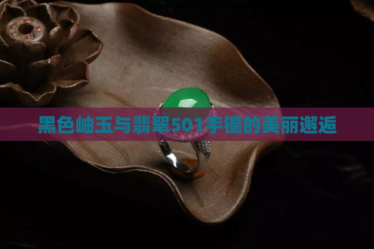 黑色岫玉与翡翠501手镯的美丽邂逅