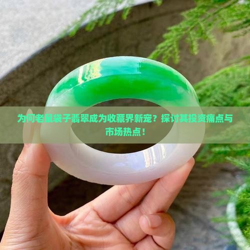 为何老鼠袋子翡翠成为收藏界新宠？探讨其投资痛点与市场热点！