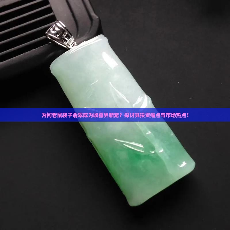 为何老鼠袋子翡翠成为收藏界新宠？探讨其投资痛点与市场热点！