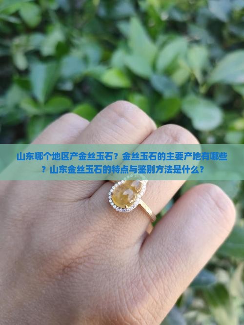 山东哪个地区产金丝玉石？金丝玉石的主要产地有哪些？山东金丝玉石的特点与鉴别方法是什么？