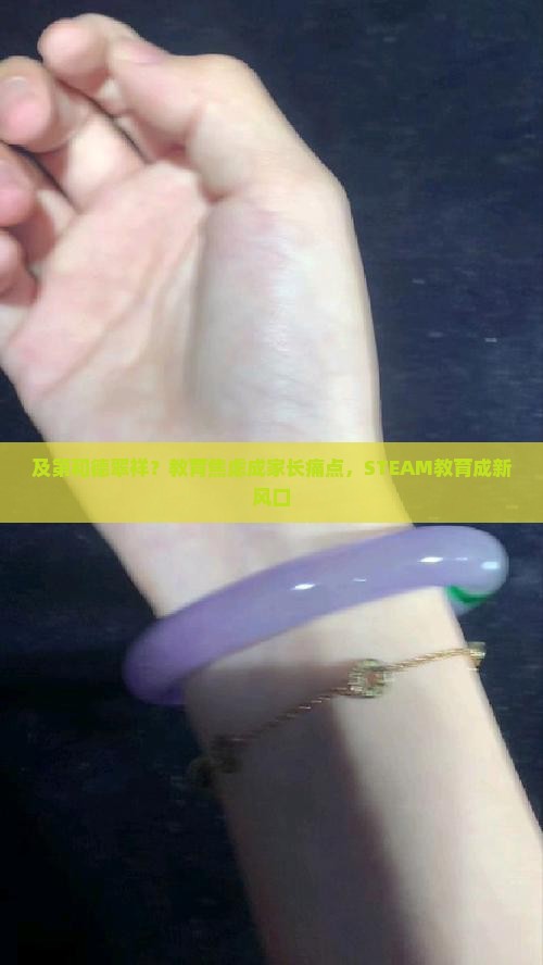 及第和德翠祥？教育焦虑成家长痛点，STEAM教育成新风口