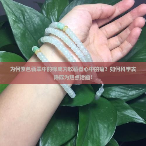 为何紫色翡翠中的棉成为收藏者心中的痛？如何科学去除成为热点话题！