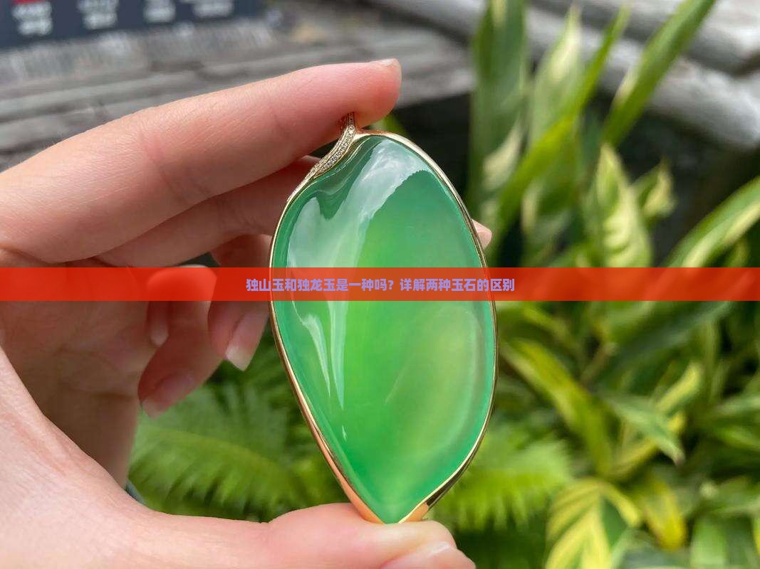 独山玉和独龙玉是一种吗？详解两种玉石的区别