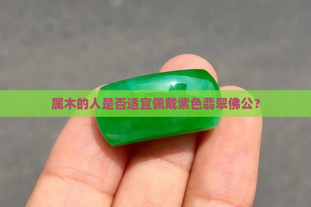 属木的人是否适宜佩戴紫色翡翠佛公？