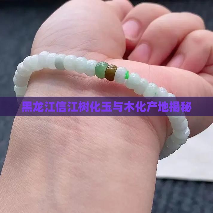 黑龙江信江树化玉与木化产地揭秘