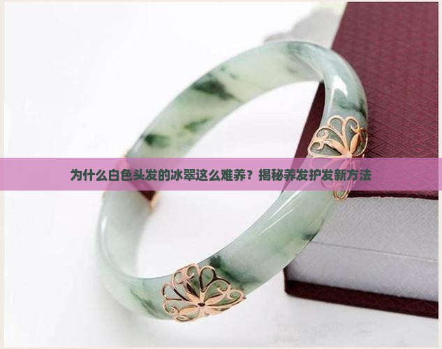 为什么白色头发的冰翠这么难养？揭秘养发护发新方法