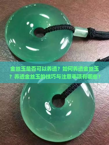 金丝玉是否可以养透？如何养透金丝玉？养透金丝玉的技巧与注意事项有哪些？