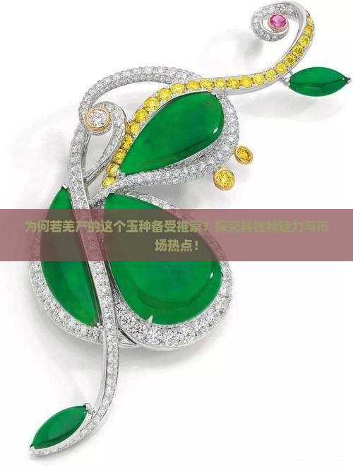 为何若羌产的这个玉种备受推崇？探究其独特魅力与市场热点！