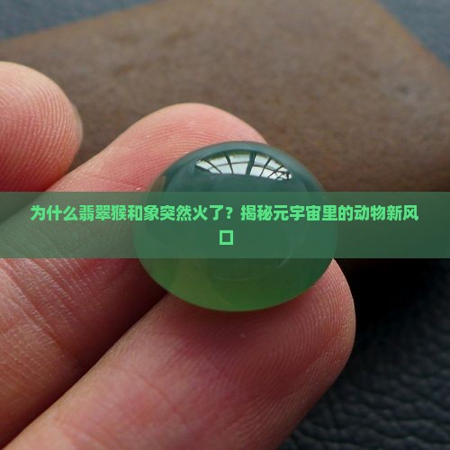 为什么翡翠猴和象突然火了？揭秘元宇宙里的动物新风口