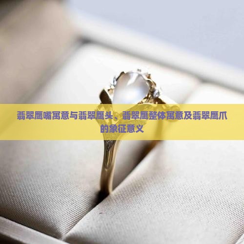 翡翠鹰嘴寓意与翡翠鹰头、翡翠鹰整体寓意及翡翠鹰爪的象征意义