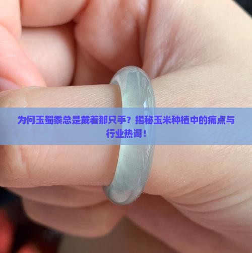 为何玉蜀黍总是戴着那只手？揭秘玉米种植中的痛点与行业热词！
