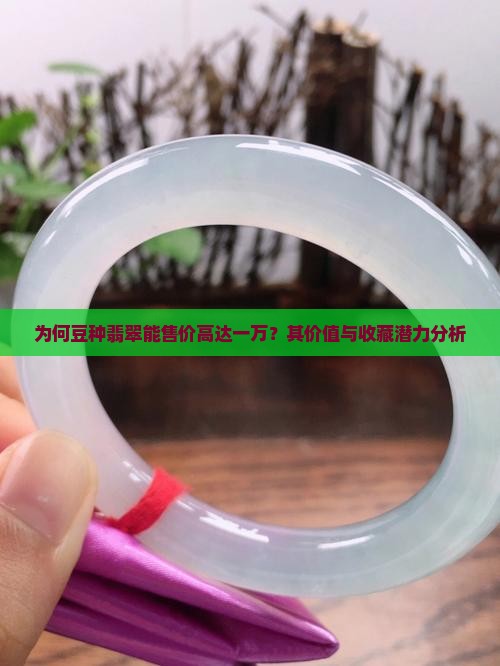 为何豆种翡翠能售价高达一万？其价值与收藏潜力分析