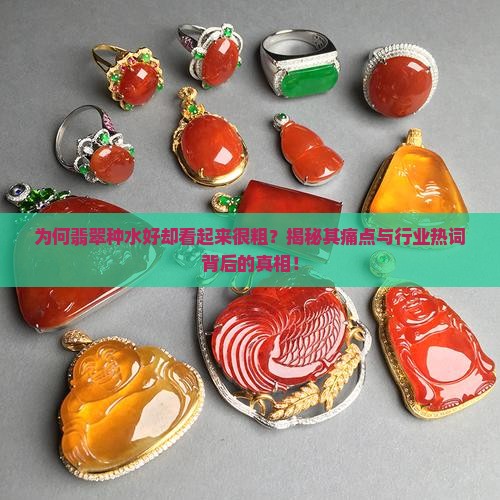 为何翡翠种水好却看起来很粗？揭秘其痛点与行业热词背后的真相！