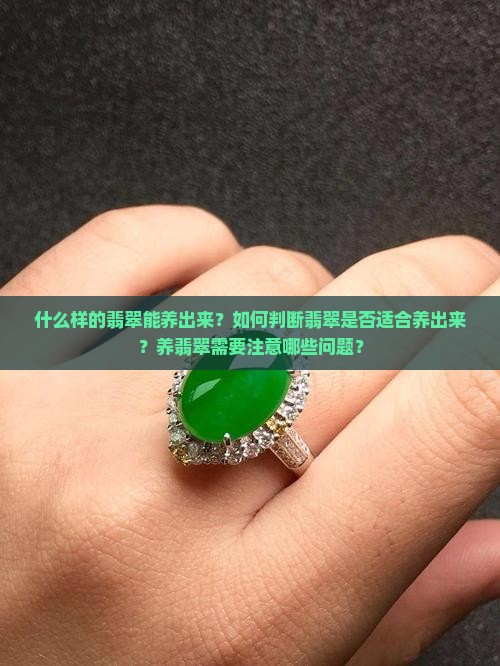 什么样的翡翠能养出来？如何判断翡翠是否适合养出来？养翡翠需要注意哪些问题？