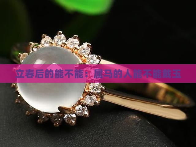 立春后的能不能：属马的人能不能戴玉