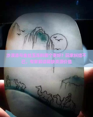 沙漠漆与金丝玉冻料哪个更好？玩家纠结不已，专家解读稀缺资源价值