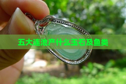 五大连池产什么玉石及鱼类