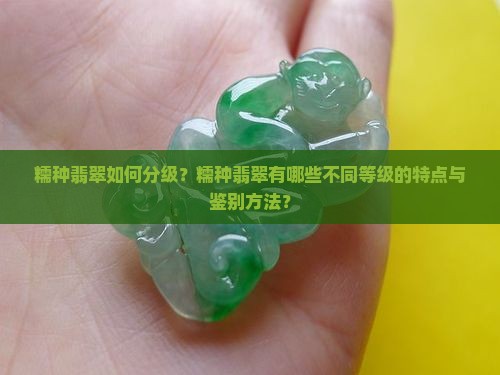糯种翡翠如何分级？糯种翡翠有哪些不同等级的特点与鉴别方法？