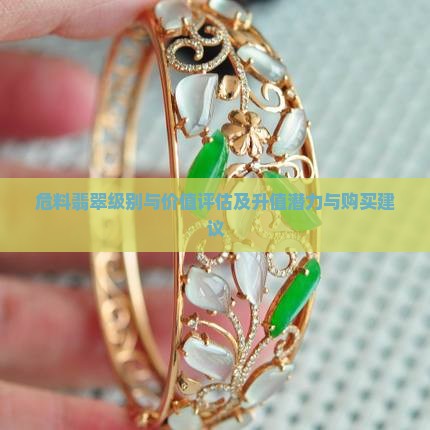 危料翡翠级别与价值评估及升值潜力与购买建议