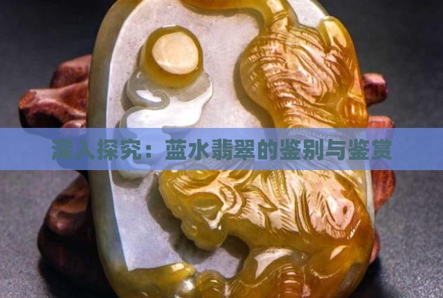 深入探究：蓝水翡翠的鉴别与鉴赏