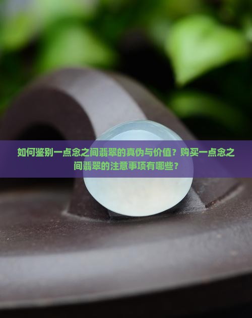 如何鉴别一点念之间翡翠的真伪与价值？购买一点念之间翡翠的注意事项有哪些？