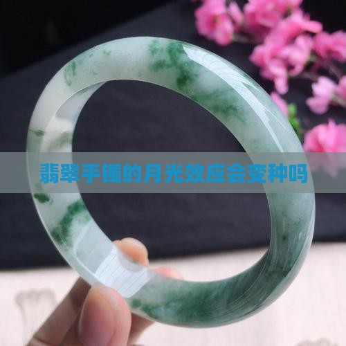 翡翠手镯的月光效应会变种吗