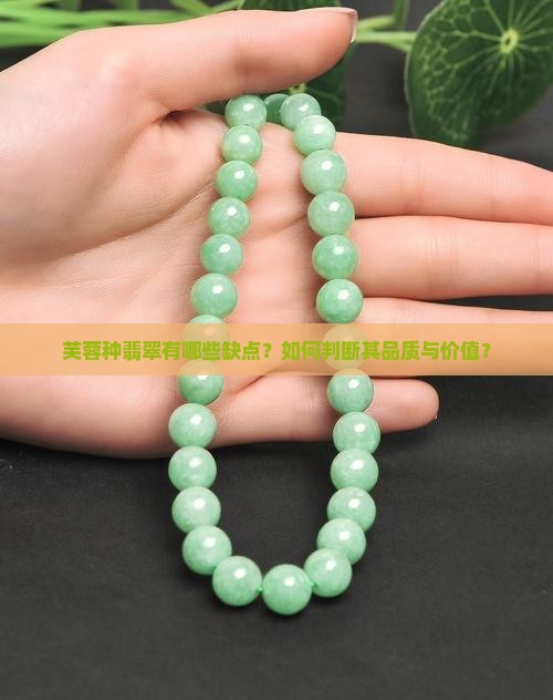 芙蓉种翡翠有哪些缺点？如何判断其品质与价值？