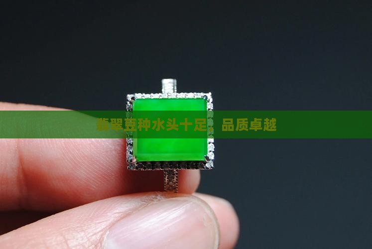 翡翠豆种水头十足，品质卓越