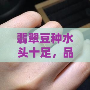 翡翠豆种水头十足，品质卓越