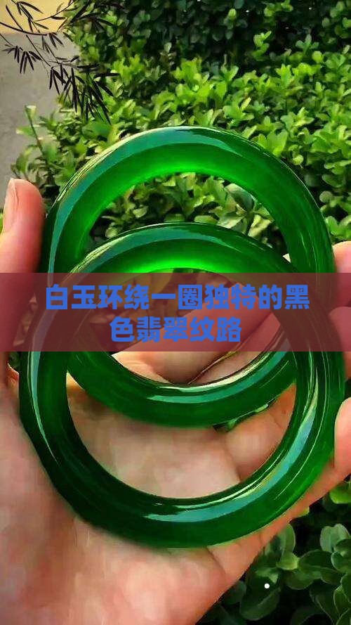 白玉环绕一圈独特的黑色翡翠纹路