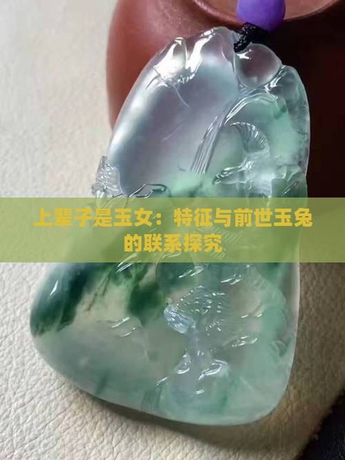 上辈子是玉女：特征与前世玉兔的联系探究