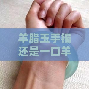 羊脂玉手镯还是一口羊脂玉手镯更好？