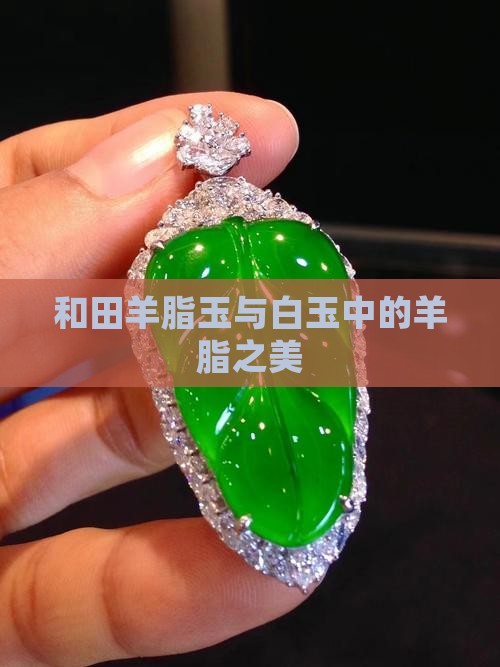 和田羊脂玉与白玉中的羊脂之美