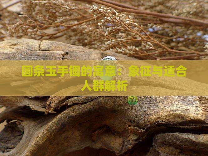 圆条玉手镯的寓意：象征与适合人群解析