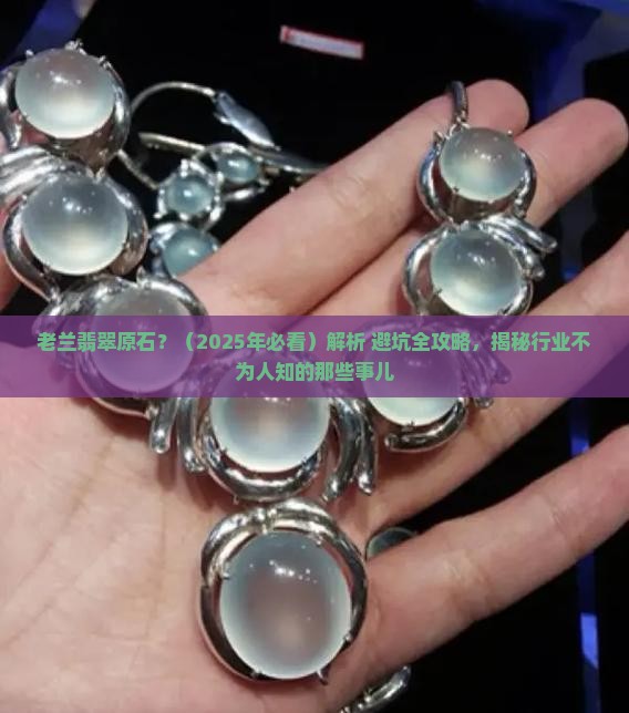 老兰翡翠原石