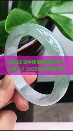 翡翠正装手镯的饱满度和什么有关