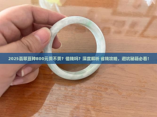 豆种翡翠800贵吗值钱吗